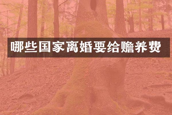 哪些国家离婚要给赡养费
