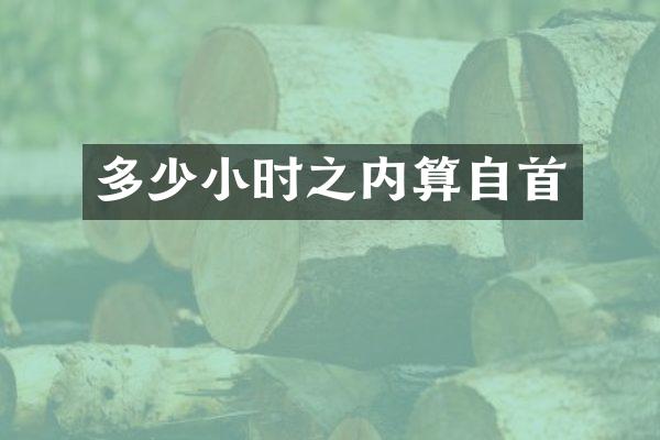 多少小时之内算自首