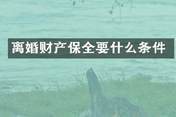 离婚财产保全要什么条件