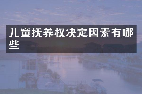 儿童抚养权决定因素有哪些