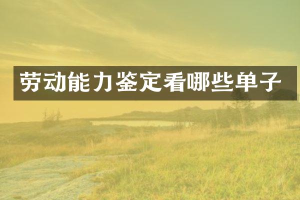 劳动能力鉴定看哪些单子