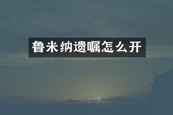 鲁米纳遗嘱怎么开