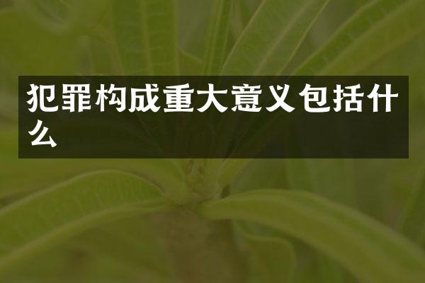 犯罪构成重大意义包括什么