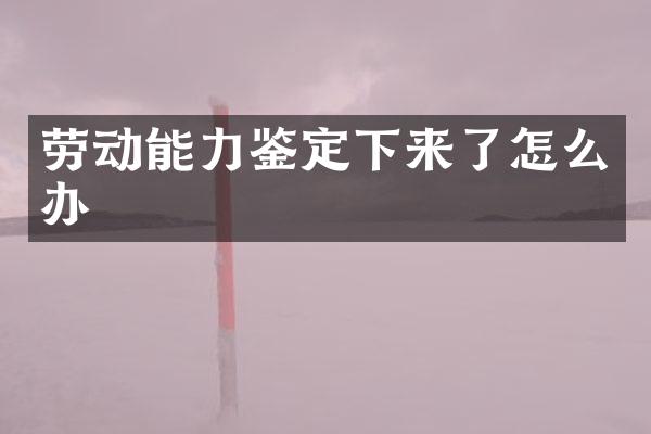劳动能力鉴定下来了怎么办