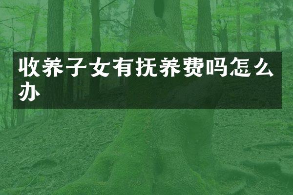 收养子女有抚养费吗怎么办