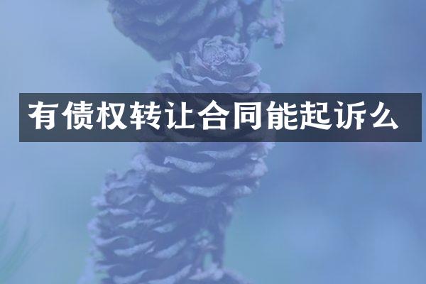 有债权转让合同能起诉么