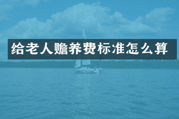 给老人赡养费标准怎么算