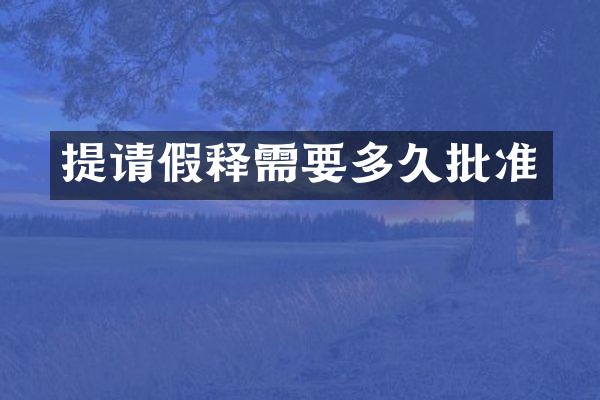 提请假释需要多久批准