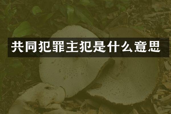 共同犯罪是什么意思