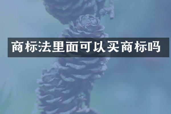 商标法里面可以买商标吗