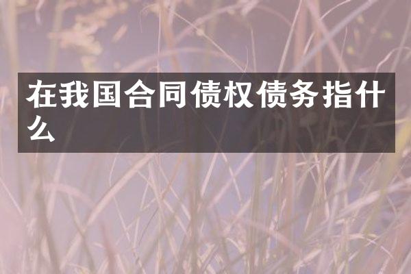 在我国合同债权债务指什么