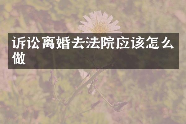 诉讼离婚去法院应该怎么做