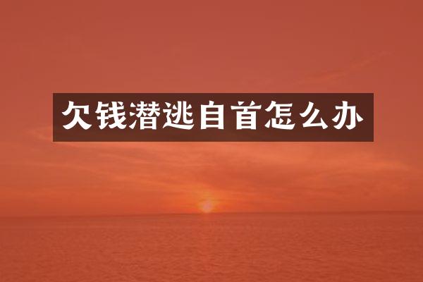 潜逃自首怎么办