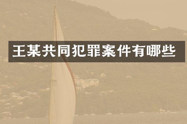 王某共同犯罪案件有哪些