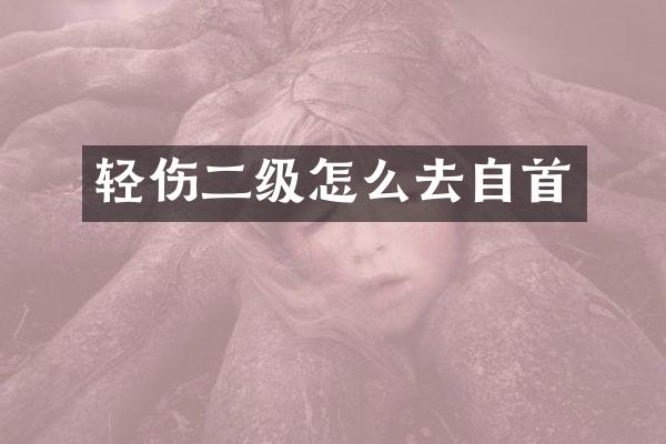 轻伤二级怎么去自首