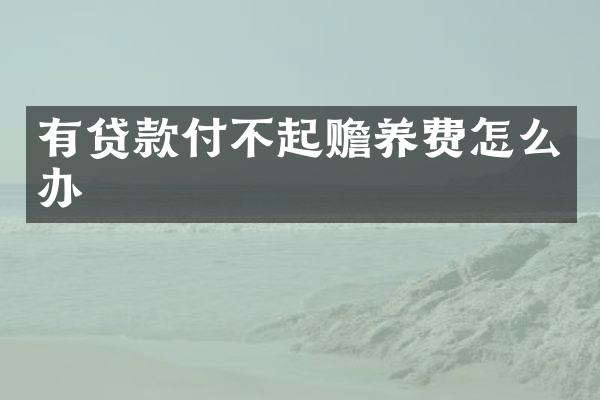 有贷款付不起赡养费怎么办