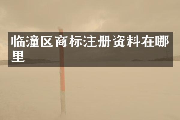 临潼区商标注册资料在哪里