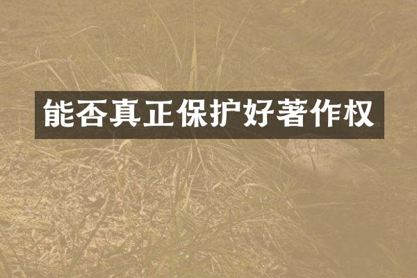 能否真正保护好著作权