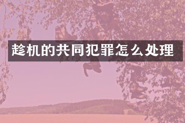 趁机的共同犯罪怎么处理