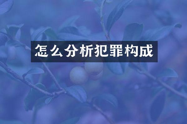 怎么分析犯罪构成