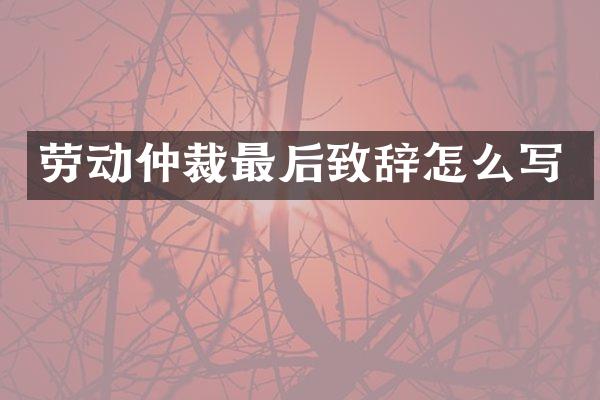 劳动仲裁最后致辞怎么写