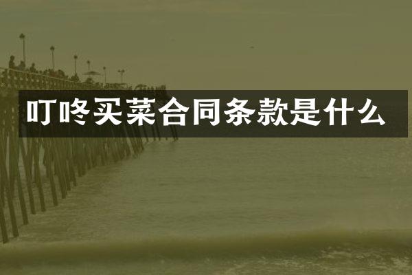 叮咚买菜合同条款是什么