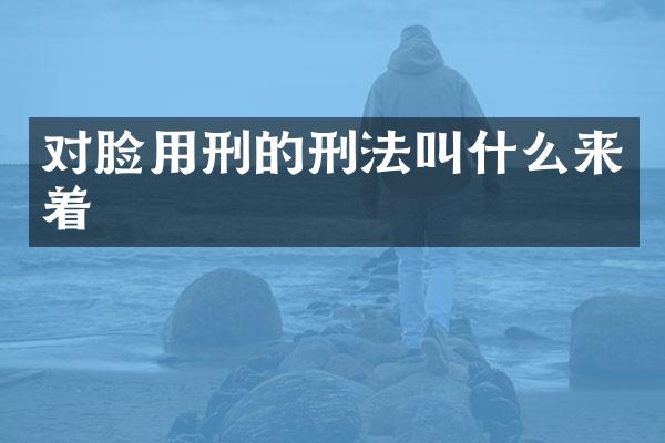 对脸用刑的刑法叫什么来着