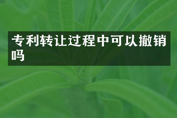 专利转让过程中可以撤销吗
