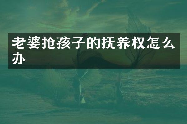 老婆抢孩子的抚养权怎么办