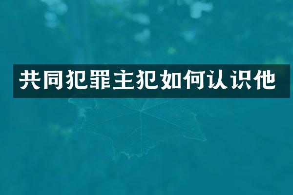 共同犯罪如何认识他