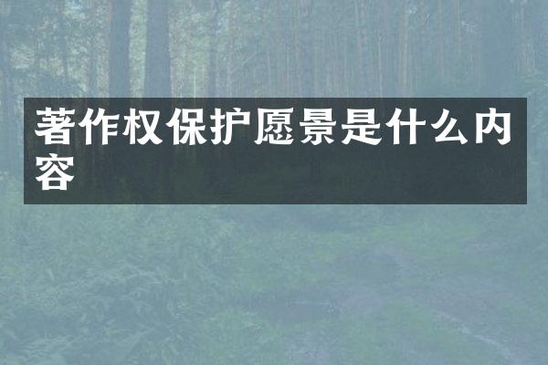 著作权保护愿景是什么内容