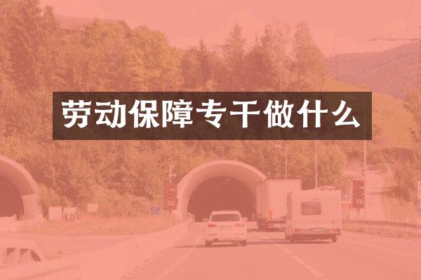 劳动保障专干做什么
