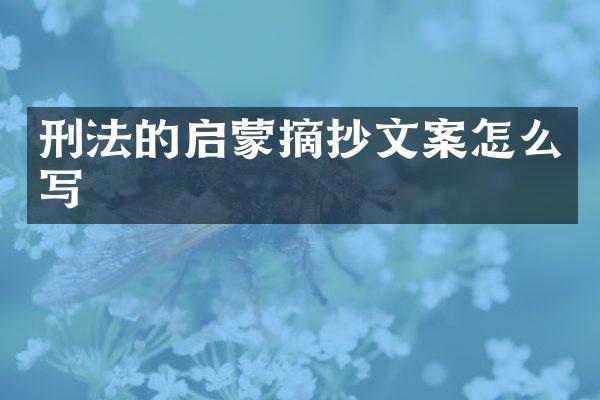 刑法的启蒙摘抄文案怎么写