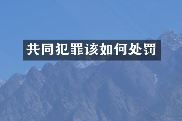 共同犯罪该如何处罚