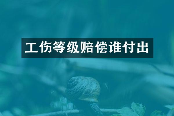 工伤等级赔偿谁付出