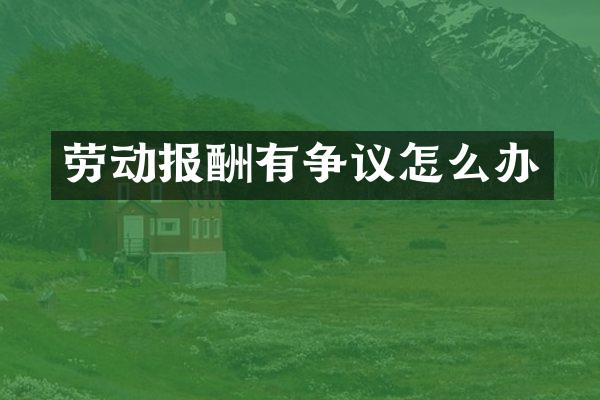 劳动报酬有争议怎么办