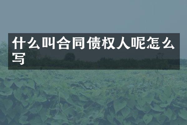 什么叫合同债权人呢怎么写