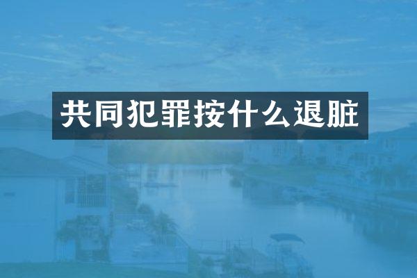 共同犯罪按什么退脏