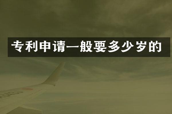专利申请一般要的