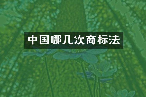 中国哪几次商标法