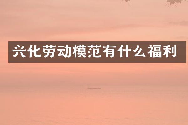 兴化劳动模范有什么福利