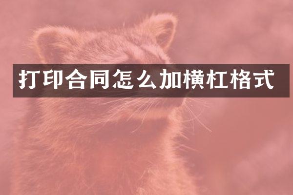 打印合同怎么加横杠格式