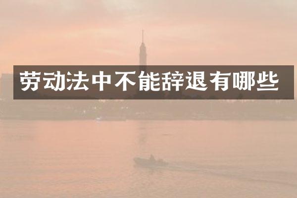 劳动法中不能辞退有哪些