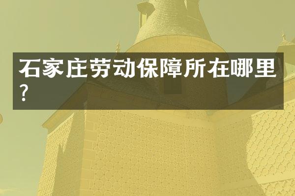 石家庄劳动保障所在哪里？
