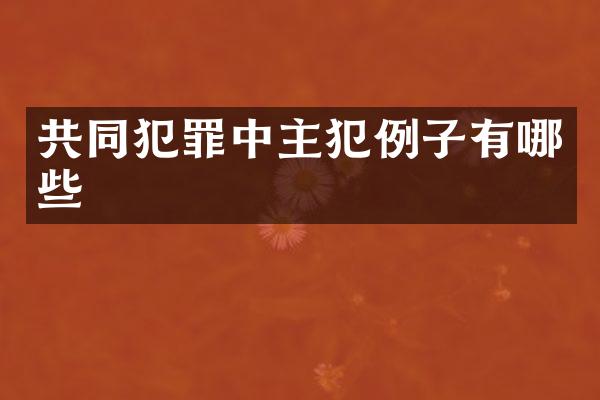 共同犯罪中例子有哪些