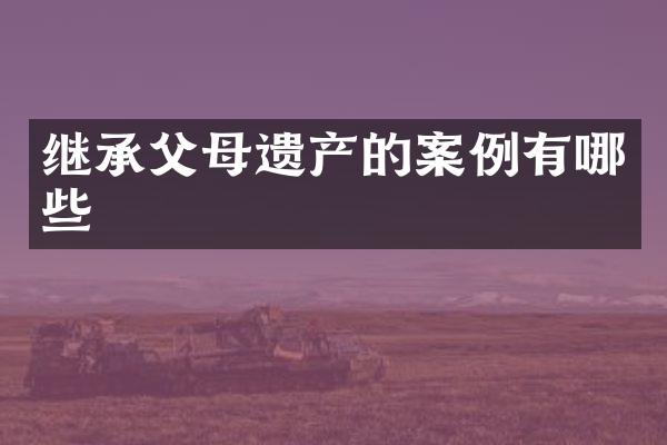 继承父母遗产的案例有哪些