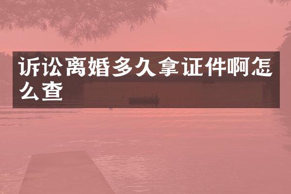诉讼离婚多久拿证件啊怎么查