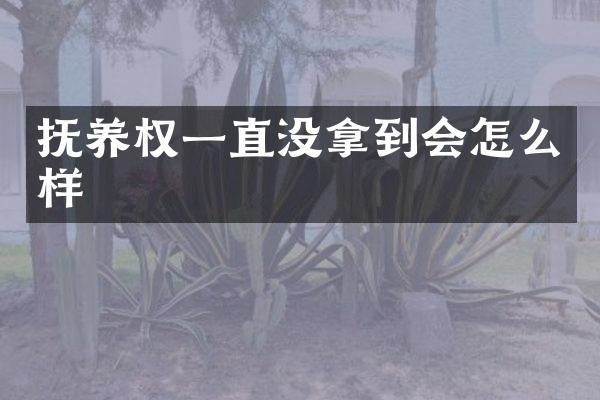 抚养权一直没拿到会怎么样