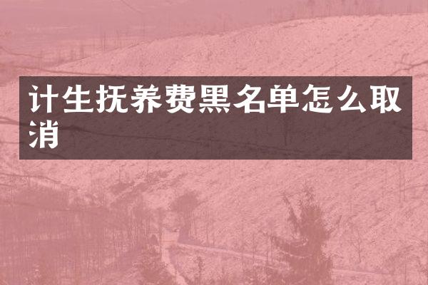 计生抚养费黑名单怎么取消