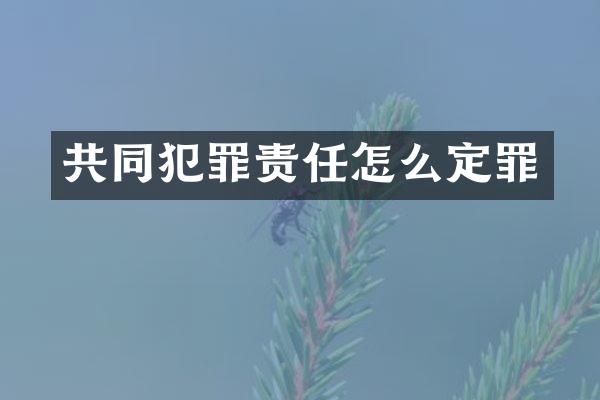 共同犯罪责任怎么定罪